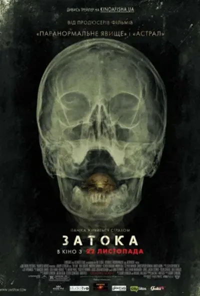 постер Затока