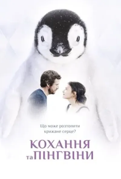 постер Кохання та пінгвіни