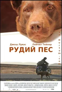 постер Рудий пес