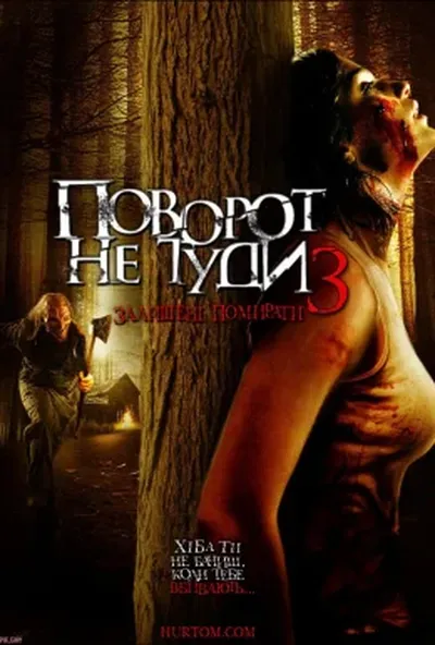 постер Поворот не туди 3