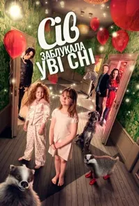 постер Сів заблукала уві сні