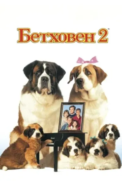 постер Бетховен 2