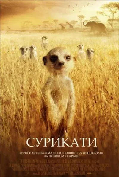 постер Сурикати