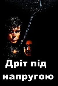 Підозра Софії постер