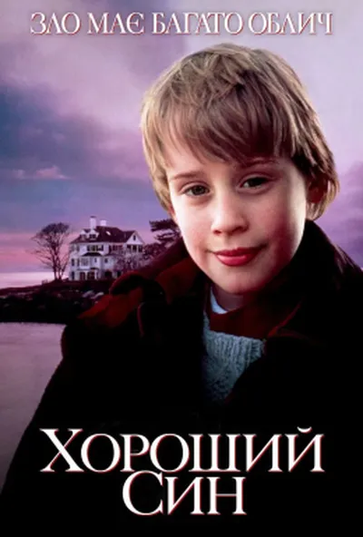 постер Хороший син