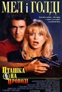 Підозра Софії постер