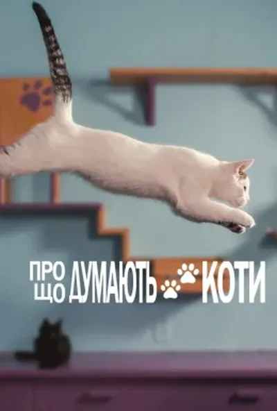 постер Про що думають коти