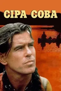 Сіра сова