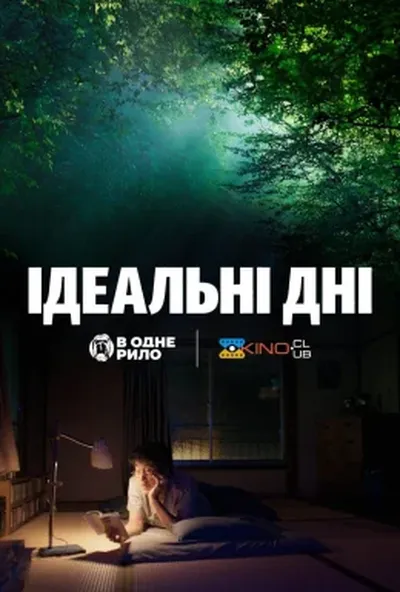 постер Ідеальні дні
