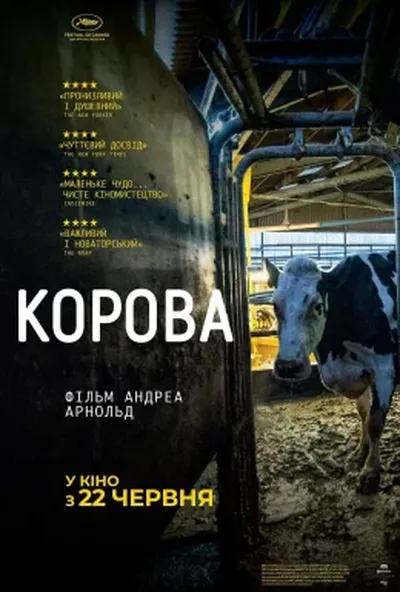 постер Корова