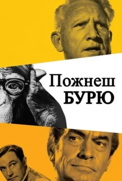 постер Пожнеш бурю