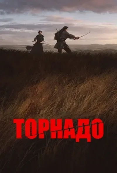 постер Торнадо