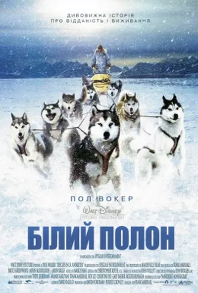 постер Білий полон