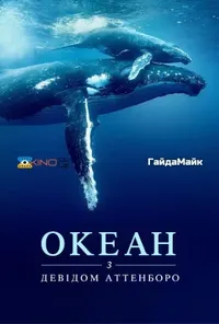 Підозра Софії постер