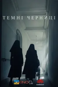 Підозра Софії постер