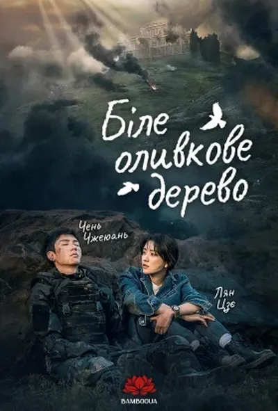 постер Біле оливкове дерево