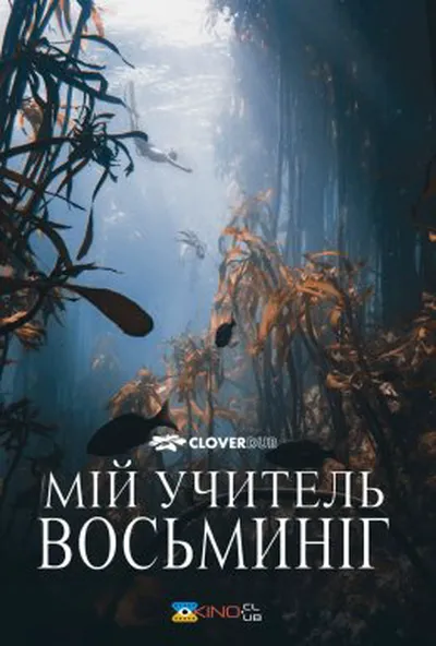 постер Мій учитель — восьминіг