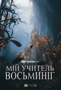 Підозра Софії постер