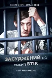 Підозра Софії постер