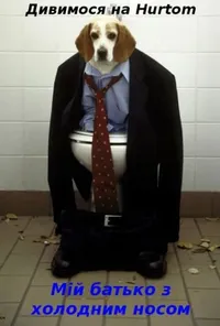 постер Мій батько з холодним носом